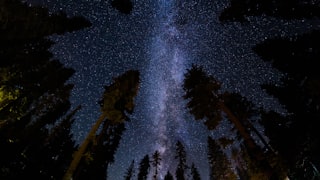 low angle photography of stars at night